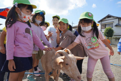いちご保育園 移動動物園がやってきた!