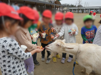 ふれあい動物園　りんご保育園