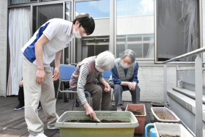朝顔の種まき　ぶどうの舎