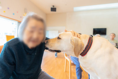 ドッグセラピー　ひまわり荘