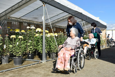 道の駅思川で菊花鑑賞🚗　春わらう舎