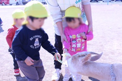 移動動物園  りんご保育園