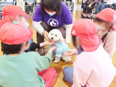ドッグセラピー  りんご保育園