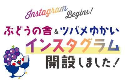Instagram開設しました📸　ぶどうの舎