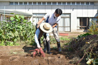 お芋ほりリハビリ🍠 ひまわり荘