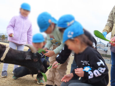移動動物園